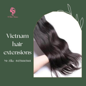 Vietnamese hair extensions
