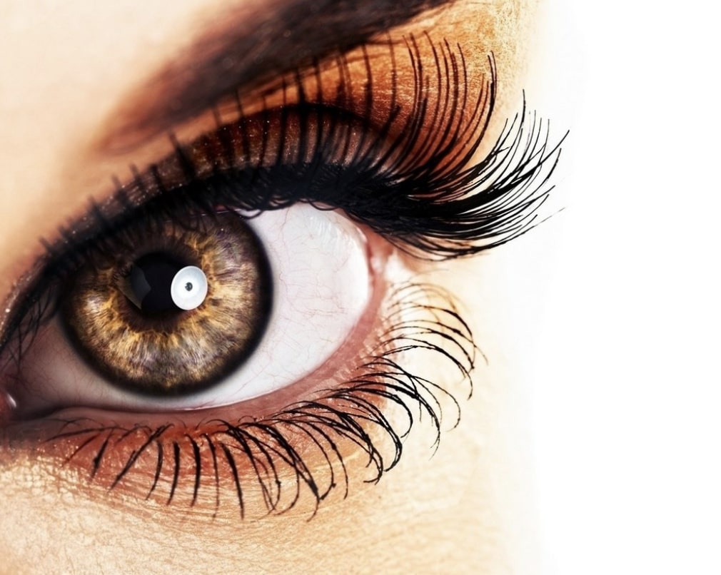 benefits-of-buying-custom-eyelash-tray-wholesale-for-your-business-11