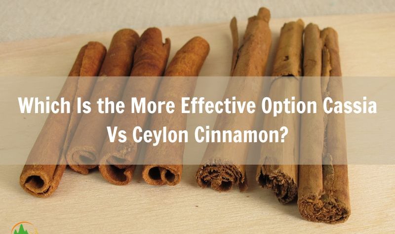 which-is-the-more-effective-option-cassia-vs-ceylon-cinnamon
