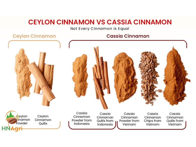 which-is-the-more-effective-option-cassia-vs-ceylon-cinnamon-1
