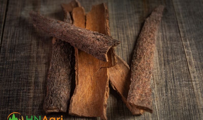 cassia-cinnamon-an-ancient-spice-with-modern-day-appeal-1